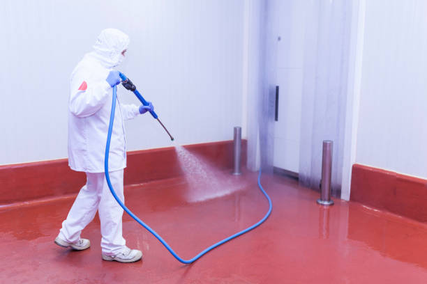 Professional  Pressure Washing Services in Clinton, NC